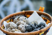 A motovuni erdő és a fehér szarvasgomba, a kulináris élvezetek kedvelői számára egy valóságos Paradicsom