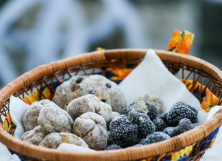 A motovuni erdő és a fehér szarvasgomba, a kulináris élvezetek kedvelői számára egy valóságos Paradicsom